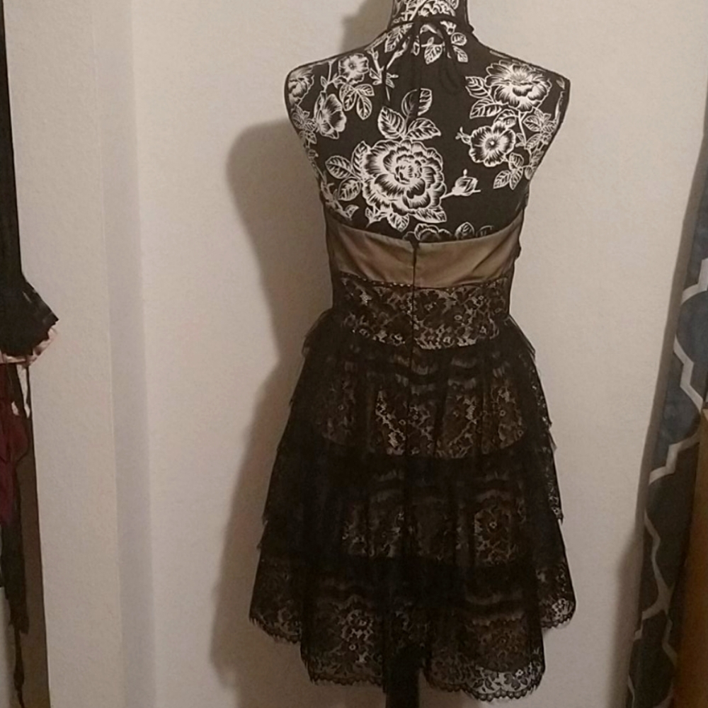 Ruffeled Lace Gothic Dress - Picture 3 of 8